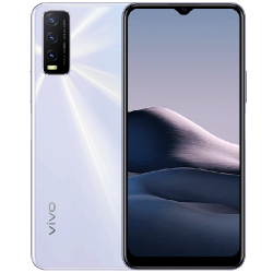 Y20 (2020)