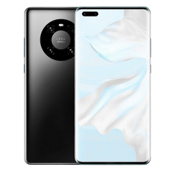 MATE 40 (2020)