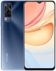 Y33 (2021)