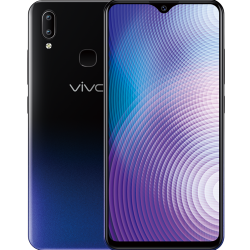 Y91 (2019)